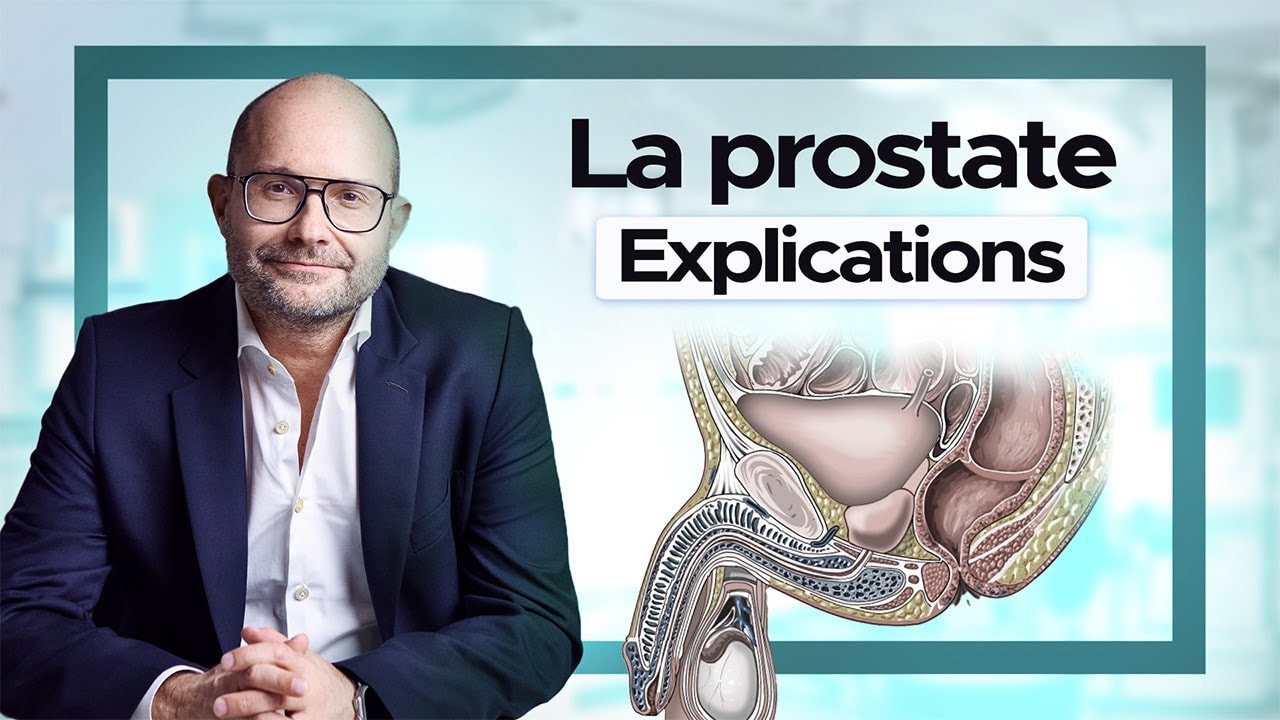 video thumbnail for 'La prostate c'est quoi ? A quoi sert-elle ?'